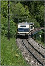 A CEV MVR GTW Be 2/6  on the way to Montreux near Les Avants.

25.05.2016