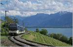 The MVR ABeh 2/6 7504  VEVEY  on the way to Montreux near Planchamp.