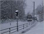 By a heavy snow fall  runs the CEV ABeh 2/6 7501 by Blonay from Vevey to the Les Pleiades.