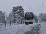 The CEV MVR ABeh 2/6 7506 on the way to Blonay by his stop in the Château de Blonay Station. 

25.01.2021