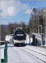 The CEV MVR ABeh 2/6 7507 on the way to Vevey by the Blonay Castle Station.

26.01.2021