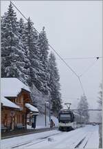 The CEV MVR ABeh 2/6 7502  Blonay  on the way from Blonay at the Les Pléiades Station. 

29.01.2026
