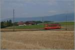 A NStCM local train between La Vuarpillière and Les Plantaz.
06.07.2015