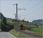 A RBS local train service form Bern to Worb by Vechingen.