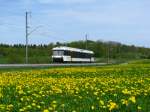 This class 526 train is passing this beautyful dandeleon-meadow between Lengwil and Siegershausen. (April 2009)