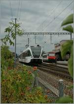 A Thurbo GTW in Romanshorn.
30.08.2012