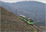 A AL local train in the vineyards over Aigle.