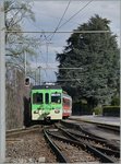 A AOMC local train is arriving at Monthey Ville.
07.04.2016