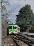 A AOMC local train is arriving at Monthey Ville.
07.04.2016