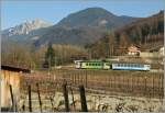In the vineyards over Aigle: A ASD-local train from Les Diablerests to Aigle.