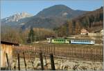 In the vineyards over Aigle: A ASD-local train from Les Diablerests to Aigle.