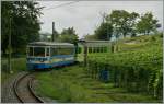 ASD local Train to Aigle near Verchiez. 27. 08.2013