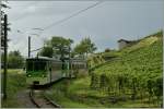 ASD local train near Verchiez.