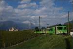 ASD local train near Aigle.