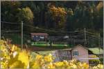 A ASD local train in the vineyard near Aigle.