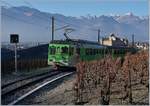 A ASD local train in the vineyards by Aigle.