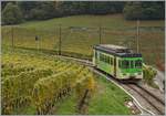 The ASD BDe 4/4 402 in the vineyard over Aigle.