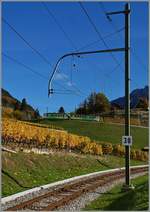 The ASD BDe 4/4 401 wiht his Bt on the way to Les Diablerets in the vineyard over Aigle.