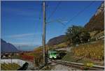 The ASD BDe 4/4 401 wiht his Bt on the way to Les Diablerets in the vineyard over Aigle.