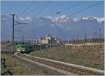 The ASD local train 436 in the vineyards over Aigle.

23.02.2019