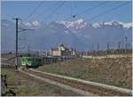 The ASD local train 436 in the vineyards over Aigle.

23.02.2019