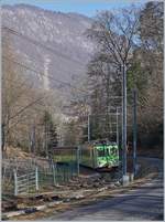 The ASD local train 432 in the Wood between Aigle and Verschiez.

23.02.2019