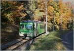 The ASD BDe 4/4 402 in the wood by Verschiez on the way from Aigle to Plambuit.