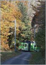 The ASD BDe 4/4 402 in the wood by Verschiez on the way from Aigle to Plambuit.