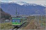 In the vineyards of Aigle is the TPC Beh 4/8 591 as R71 431 on the journey from Les Diablerets to Aigle.