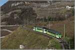 The TPC ASD BDe 4/4 402 with Bt 434 his in the vineyards over Aigle on the way from Les Diablerets to Aigle. 

04.01.2024