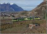 As expected, the TPC Beh 4/8 591 drove through the vineyards above Aigle again as Regio R 71 440 and offered me a welcome change in the ASD's use of rolling stock, given the timing of its replacement by the new ABe 4/8 in the next few months.

January 4, 2024