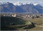 The route leads in wide loops through the vineyards above Aigle.