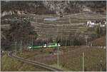 The route leads in wide loops through the vineyards above Aigle. In the picture the regional train R 71 435 from Les Diablerets to Aigle with the pushing TPC ASD BDe 4/4 402 and the Bt 434. This control car was put into operation as Bt 25 at the BLT, then came to the AOMC as Bt 131, and in 2000 after it was never put into operation at the AOMC, to the ASD. What is striking is the left front wall door, which gives the now almost sixty-year-old Bt 434 a very pleasing appearance.

January 4, 2024