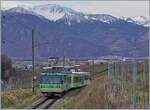 The TPC ASD Beh 4/8 591 in the vineyard over Aigle on the way to Aigle.