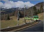 An ASD regional train consisting of BDe 4/4, Bt and BDe 4/4 between Le Sépey and Les Planchens.