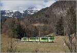 An ASD regional train consisting of BDe 4/4, Bt and BDe 4/4 between Le Sépey and Les Planchens.