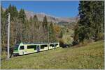 The TPC ASD ABe 4/8 472 by Vers l'Église on the way to Les Diablerests. This is the ASD service R71 440 from Aigle to Les Diablrets.

14.10.2025