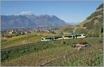 The TPC ASD ABe 4/8 417 on the way from Les Diablerets to Aigle over Aigle in the vineyard. 

29.10.2024 