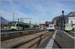 In Aigle, the TPC narrow-gauge railcars Beh 2/6 543 and ABe 4/8 473 are waiting to depart for Monthey-Ville and Les Diablerets respectively. The regional train to Leysin can also be seen on the right of the picture.

9 February 2026