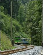 ASD local train in the wood between Les Planches and Exergillod.