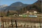 A ASD local train in the vineyards by Aigle. 
04.02.2011