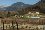 A ASD local train in the vineyards by Aigle. 
04.02.2011