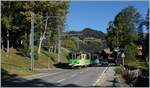 The TPC BVB BDeh 4/4 81 on the way to Bex in La Barboleusa.