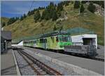 The TPC BVB BDeh 4/4 83 with his local train in Col de Bretaye on the way to Villars.