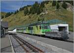 The TPC BVB BDeh 4/4 83 with his local train in Col de Bretaye on the way to Villars. 

19.08.2023