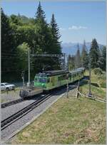 The TPC BVB BDeh 4/4 83 wiht his service to Villars is leaving the Col de Soud Station.