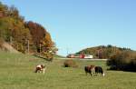 Cow and train in a beautiful landscape by Chatel St- Denis.