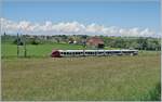 A TPF Flirt von the way to Bern by Chénens.
02.06.2018