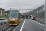 A MOB Panoramic Express and a TPF local train in the  new   Montbobon Station.
14.09.2018