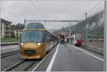 A MOB Panoramic Express and a TPF local train in the  new   Montbobon Station.